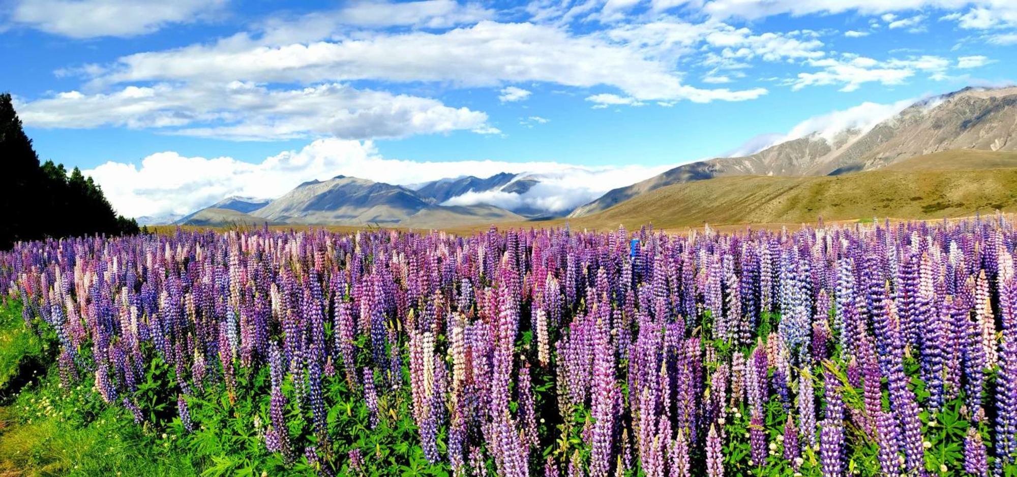 37 Galaxy C Studio Lake Tekapo Dış mekan fotoğraf